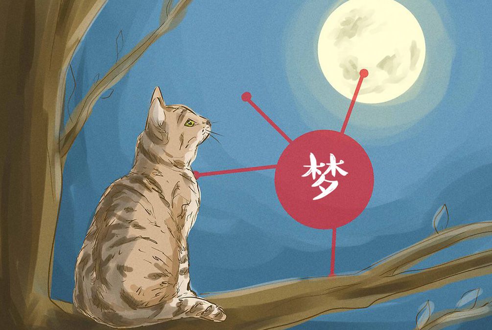 做梦梦到猫，梦见猫