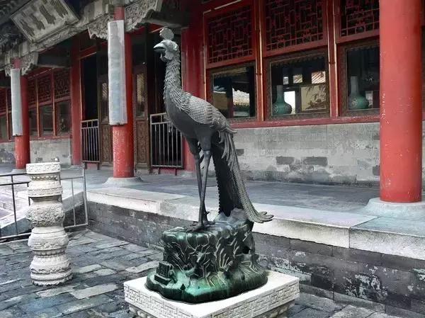 燕子做窝代表什么预兆，燕子做窝的预兆